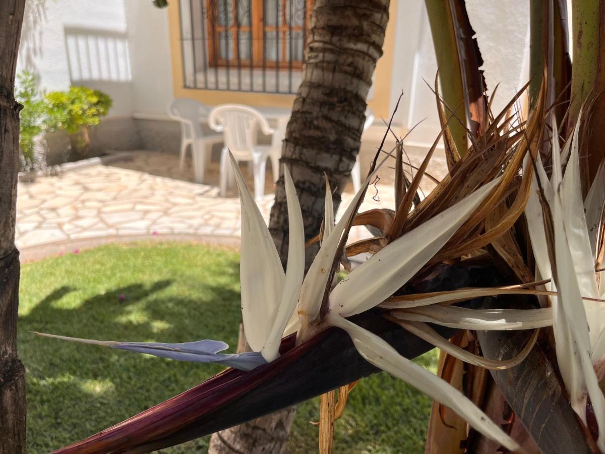 Apartment Dos Hermanas Coast